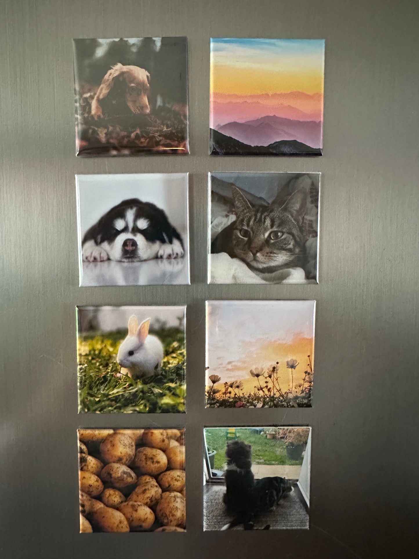 Custom made square photo magnets 50x50mm, pack of 8