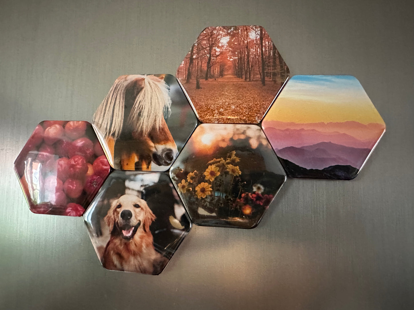 Custom made hexagon photo magnets 65x58mm, pack of 6