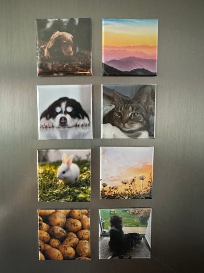 Custom made square photo magnets 50x50mm, pack of 8
