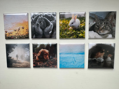 Custom made square photo magnets 50x50mm, pack of 8